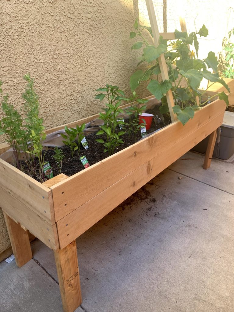 diy raised planter box | carefully clever